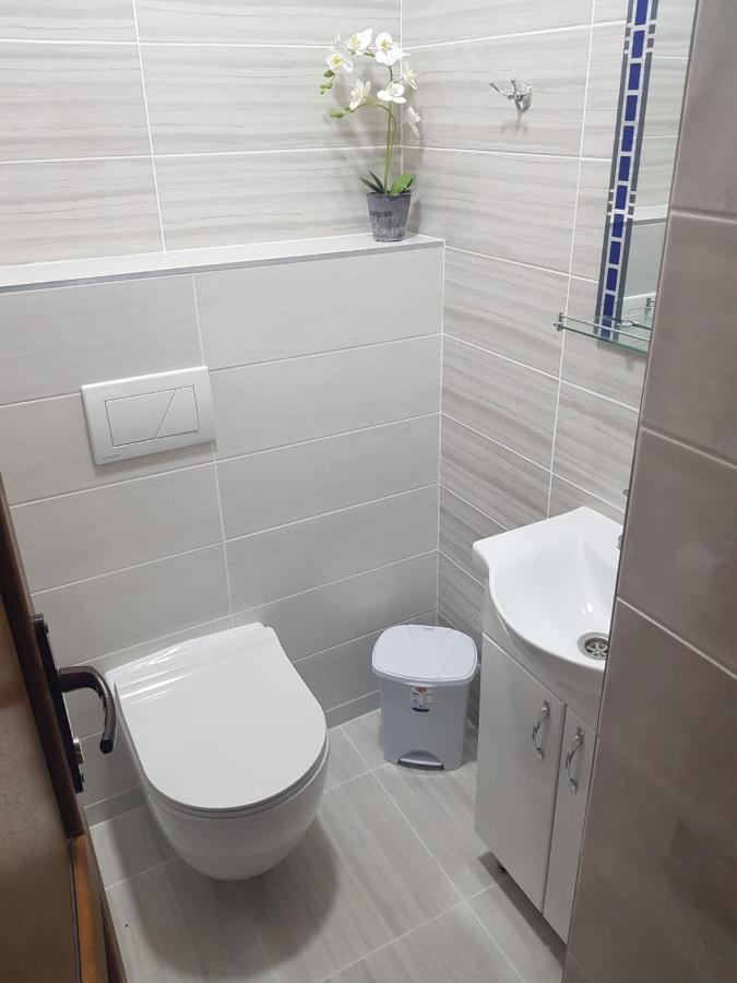 Kiki'S Villa Codru Zewnętrze zdjęcie