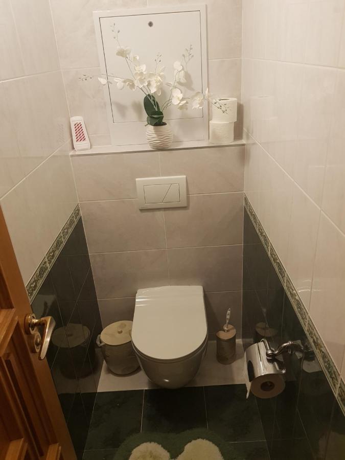 Kiki'S Villa Codru Zewnętrze zdjęcie